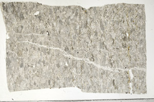 Plane Polarized, S99041