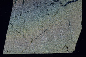 Cross Polarized, S99042