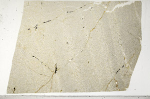 Plane Polarized, S99042