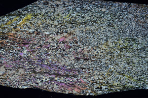 Cross Polarized, S99043