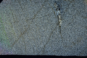 Cross Polarized, S99044