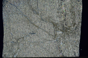 Cross Polarized, S99045