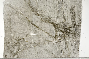 Plane Polarized, S99045