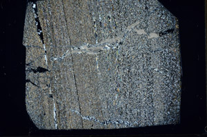 Cross Polarized, S99046