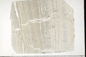 Plane Polarized, S99046