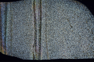 Cross Polarized, S99047