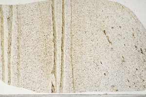 Plane Polarized, S99047