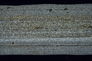 Cross Polarized, S99048