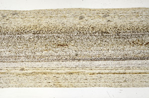 Plane Polarized, S99048