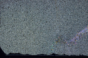 Cross Polarized, S99049