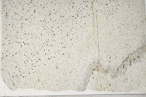 Plane Polarized, S99049