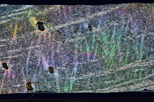 Cross Polarized, S99054