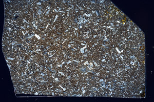 Cross Polarized, S99055