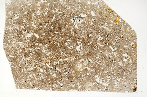 Plane Polarized, S99055