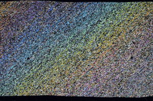 Cross Polarized, S99056