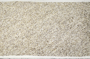 Plane Polarized, S99056