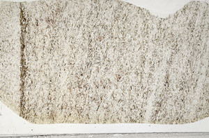 Plane Polarized, S99057