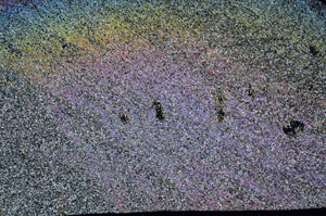 Cross Polarized, S99058