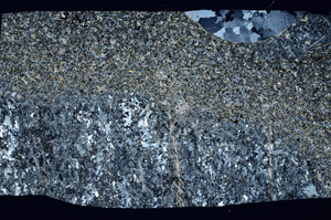 Cross Polarized, S99059