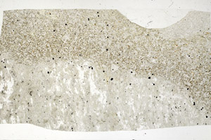 Plane Polarized, S99059