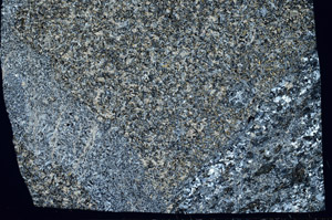 Cross Polarized, S99060