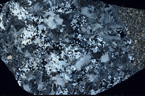 Cross Polarized, S99061