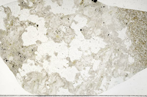 Plane Polarized, S99061