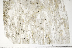 Plane Polarized, S99062