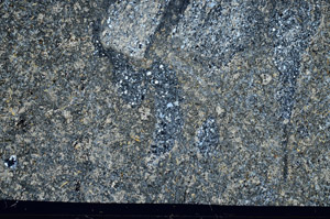 Cross Polarized, S99063