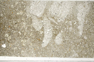 Plane Polarized, S99063