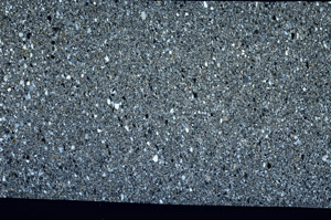 Cross Polarized, S99066