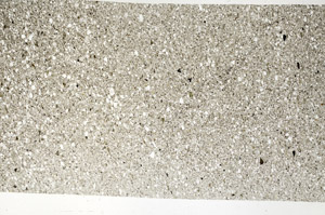 Plane Polarized, S99066