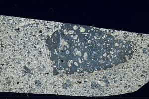 Cross Polarized, S99070