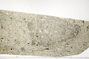 Plane Polarized, S99070