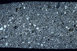 Cross Polarized, S99071