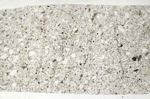 Plane Polarized, S99071