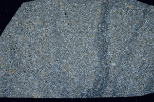 Cross Polarized, S99072