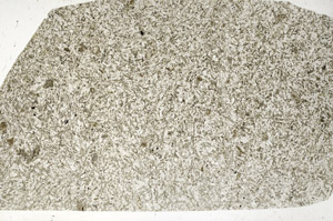 Plane Polarized, S99072