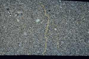 Cross Polarized, S99073