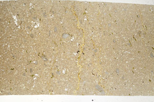 Plane Polarized, S99073