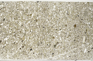 Plane Polarized, S99075