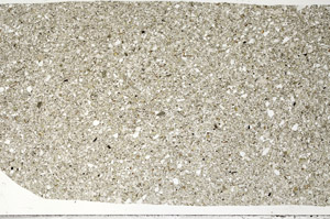 Plane Polarized, S99077