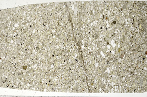 Plane Polarized, S99078