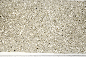 Plane Polarized, S99080