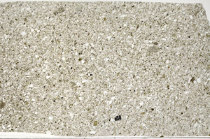 Plane Polarized, S99084