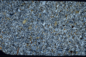 Cross Polarized, S99089