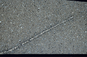 Cross Polarized, S99092