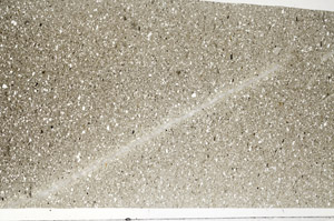 Plane Polarized, S99092