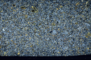 Cross Polarized, S99098