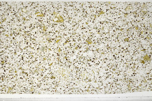 Plane Polarized, S99098